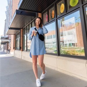 Zara buttondown shirt dress